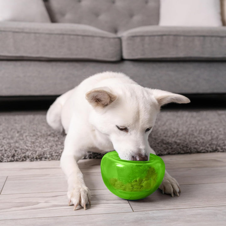 Outward Hound Planet Dog Hunde-Spielzeug, Orbee-Tuff Snoop, interaktives Leckerli verteilendes Spiel