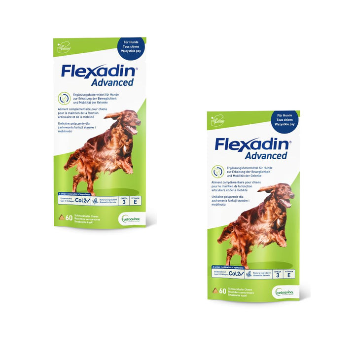 Vetoquinol Flexadin Advanced für Hunde - Doppelpack - 2 x 60 Chews