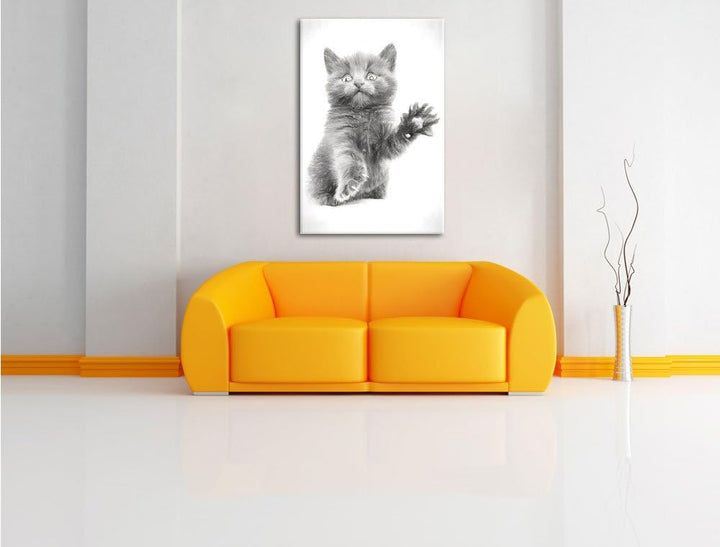 Babykatze Kohle Effekt, Format: 100x70 auf Leinwand, XXL riesige Bilder fertig gerahmt mit Keilrahme