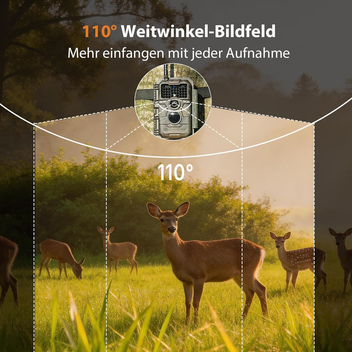 GardePro E6 Wildkamera WLAN Antenne 24MP 1296P mit Bewegungsmelder Nachtsicht No Glow Infrarot 940nm