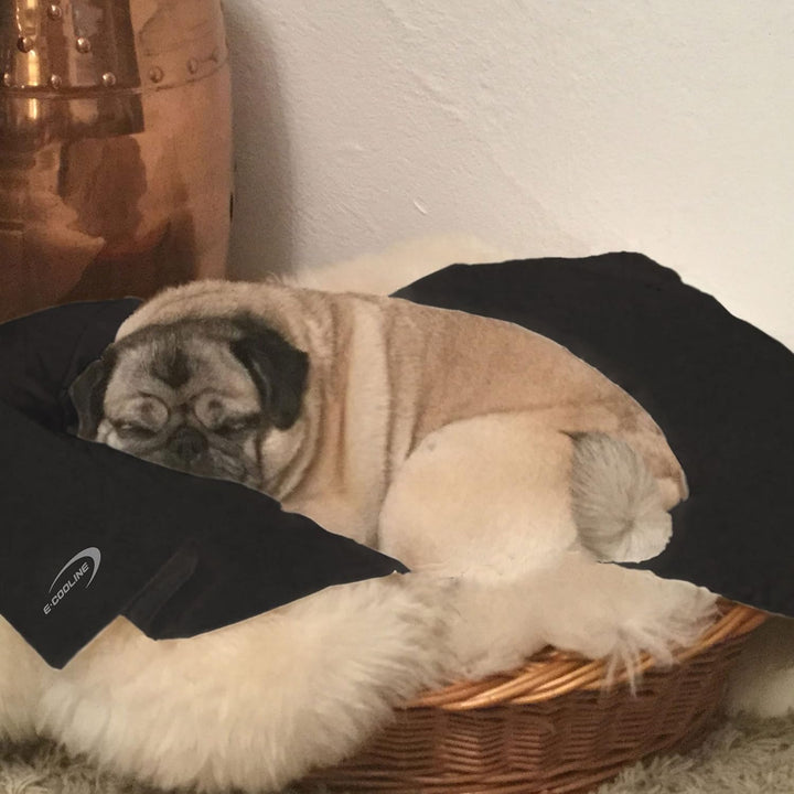 E.COOLINE PowerDog SX3 Kühlweste für Hunde Gr. 0 - Hund Kühlweste - Abkühlung für Haustiere - Hundek