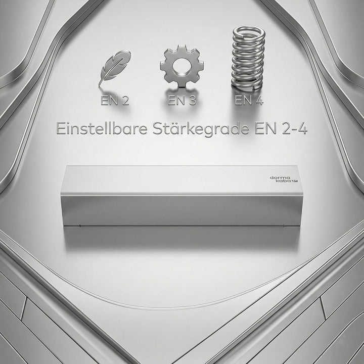 Obentürschliesser Dormakaba Schliesserkörper TS 92 B - Silber