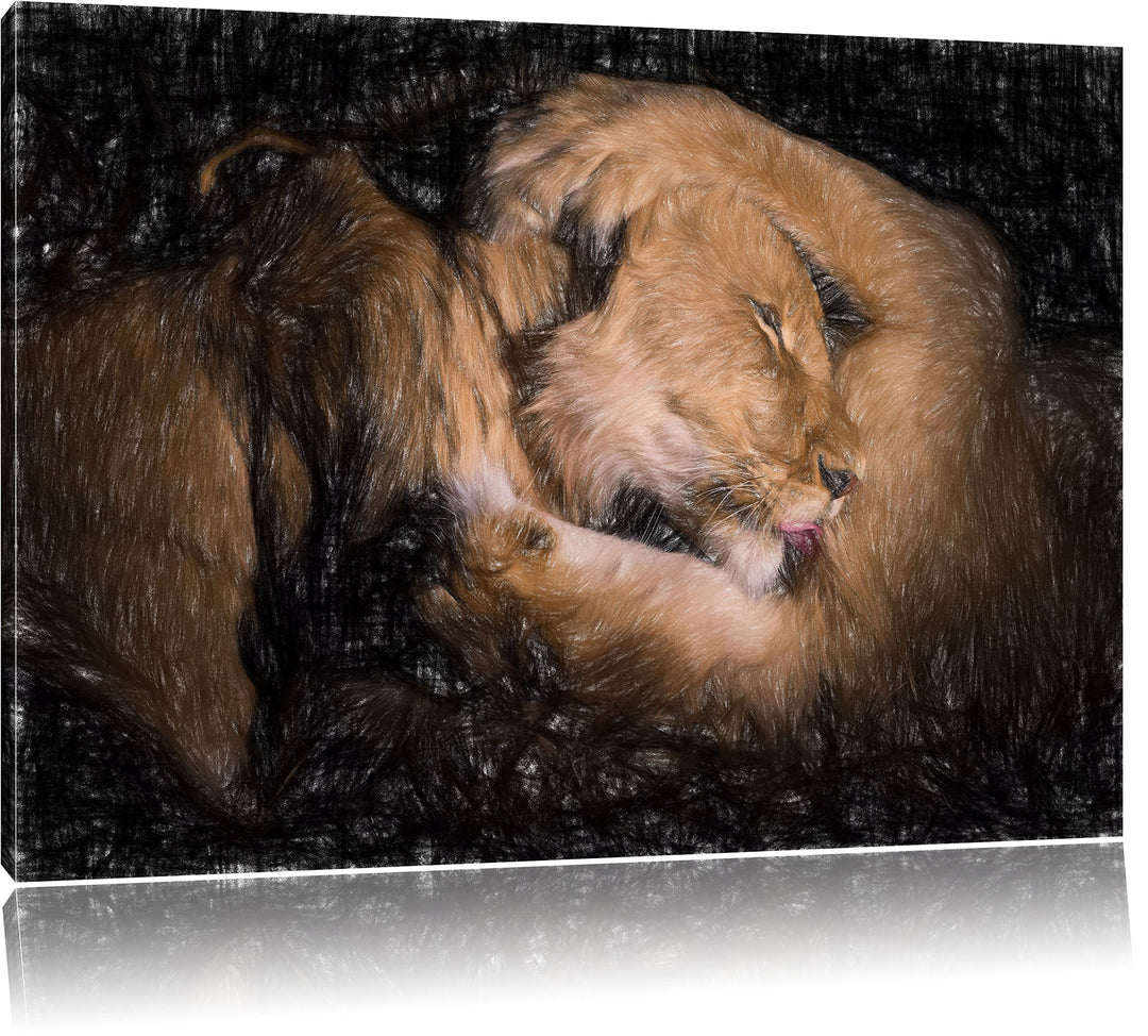 Pixxprint Männer & Frauen Löwe kuscheln als Leinwandbild/Grösse: 100x70 / Wandbild/Kunstdruck/fertig