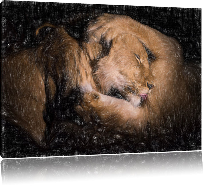 Pixxprint Männer & Frauen Löwe kuscheln als Leinwandbild/Grösse: 100x70 / Wandbild/Kunstdruck/fertig