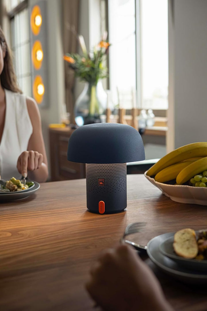 Kooduu Sensa PLAY - Bluetooth Lautsprecher mit Lampe - Tragbar - Anthrazit