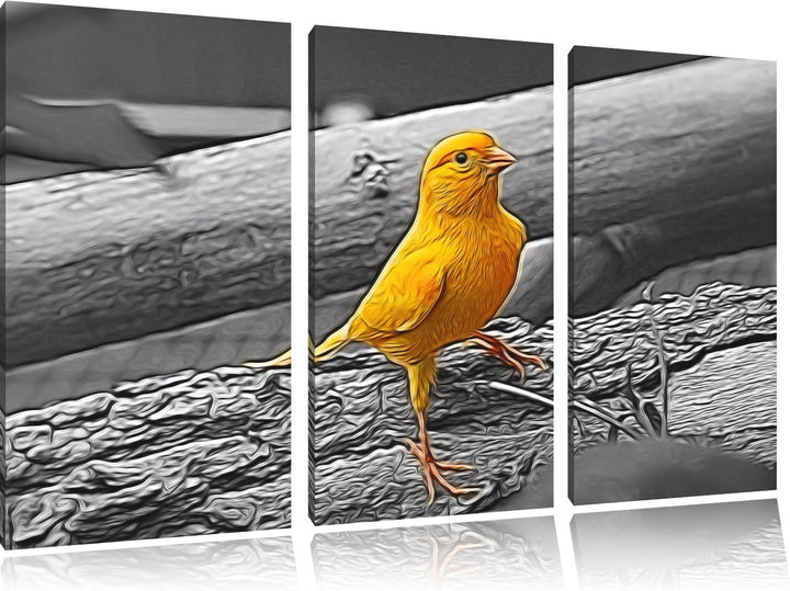 kleiner wachsamer Kanarienvogel schwarz/weiss Deluxe 3-Teiler Leinwandbild 120x80 Bild auf Leinwand,