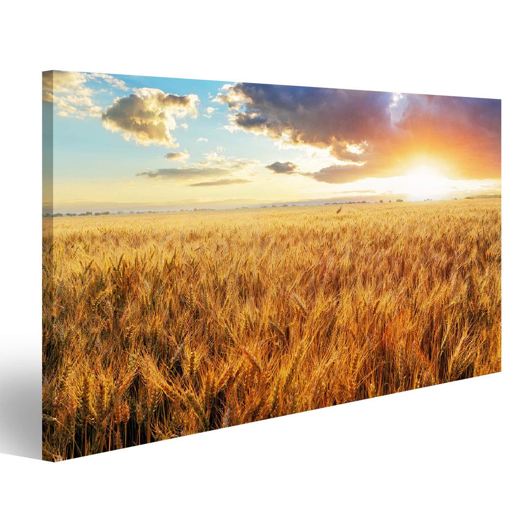 Bild Bilder auf Leinwand Sonnenuntergang über dem Weizenfeld Wandbild Poster Leinwandbild RBI 100x57