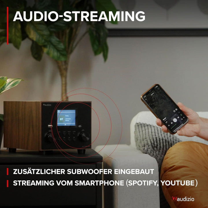 Audizio Vieste - DAB Radio mit Bluetooth, Digitalradio, 60 Watt Lautsprecher, DAB Plus Radio mit USB