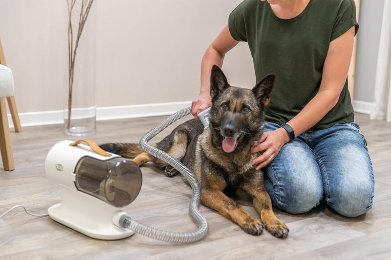 TRIXIE Schermaschinenset mit Fellsauger für Hunde – Fellschneidemaschine für alle Felltypen (ausser