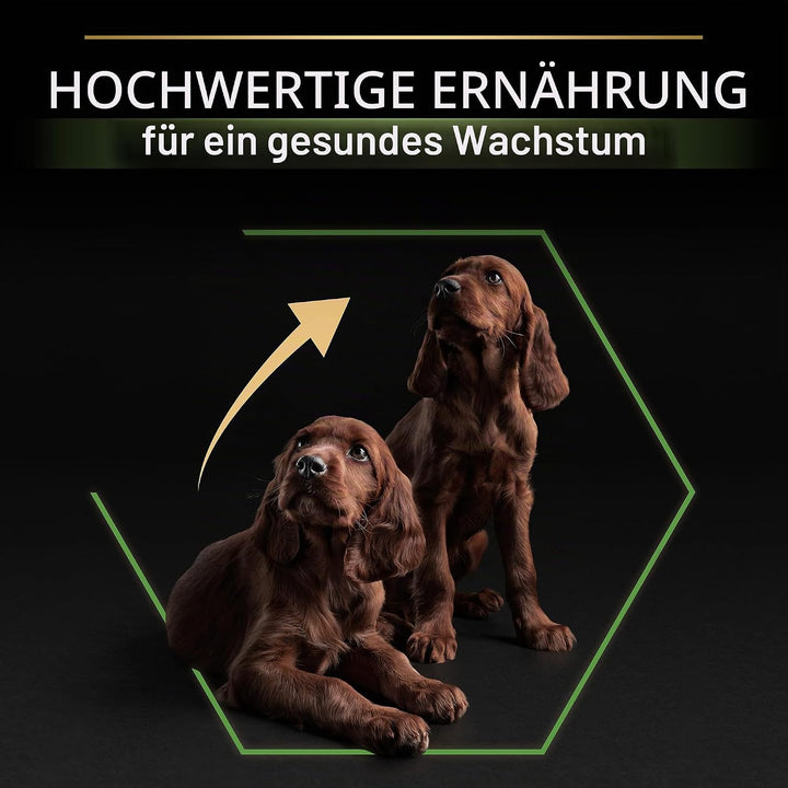 Pro Plan PURINA PRO PLAN Large Athletic Puppy Healthy Start, Welpenfutter trocken, reich an Huhn, 1e