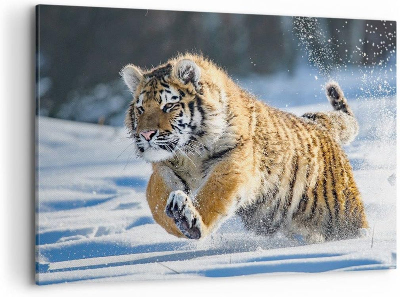 ARTTOR Bilder auf Leinwand 100x70cm Leinwandbild mit Rahmen tiger tier Gross Wanddeko Bild Schlafzim