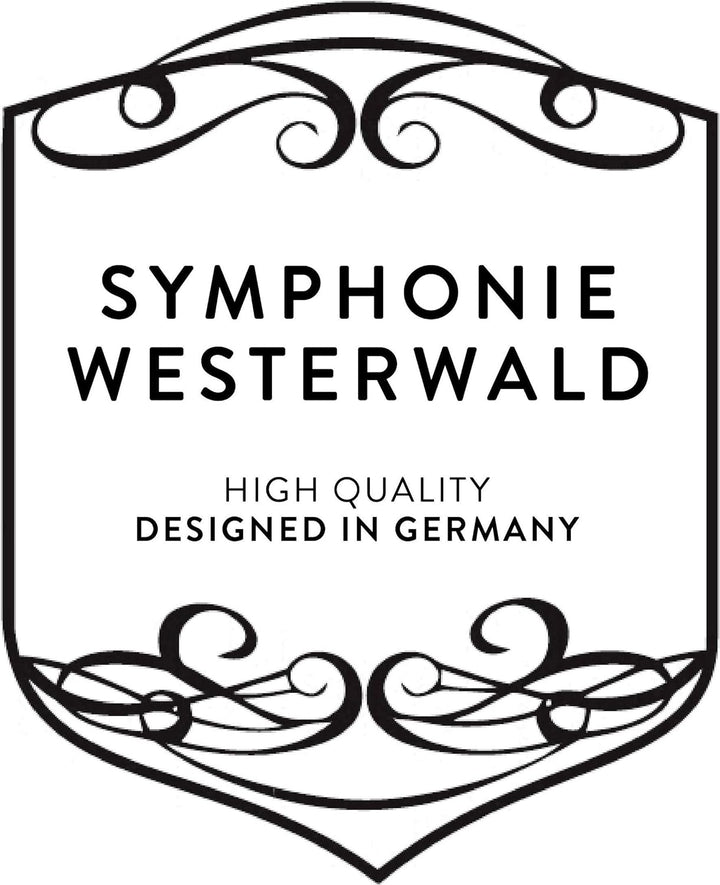 SYMPHONIE WESTERWALD Waldhorn für Kinder Kinderhorn in Bb in Gold/Silber, inkl. Luxus-Hartschalenkof