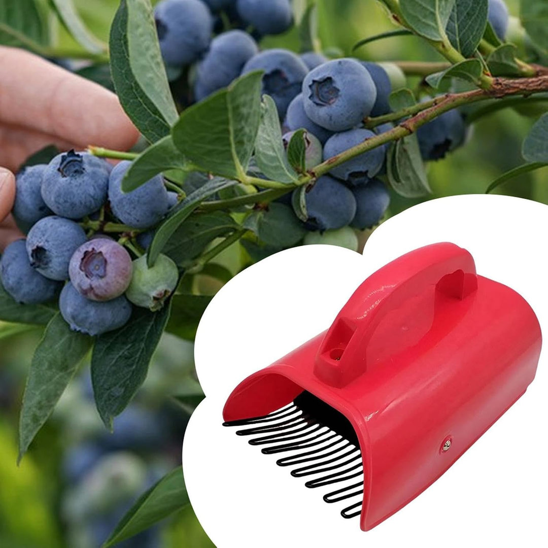 Beerenpflücker | mit Griff | Cranberry-Sammler | für Bauernhöfe, Bäume, Picknicks, Obstgärten, Gärte