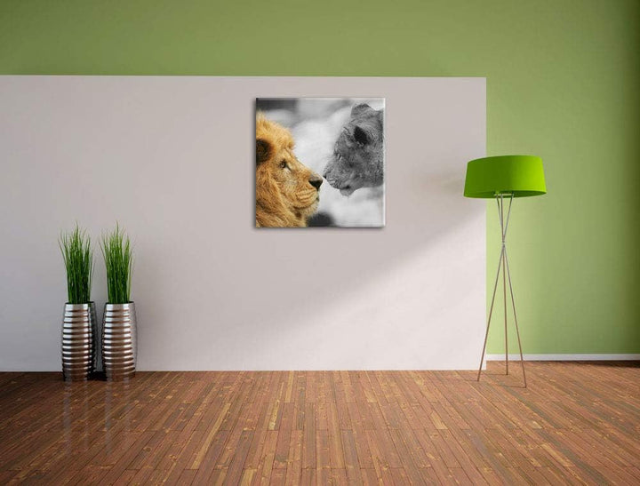 Pixxprint schönes verliebtes Löwenpaar schwarz/weiss, Format: 70x70 auf Leinwand, 70x70