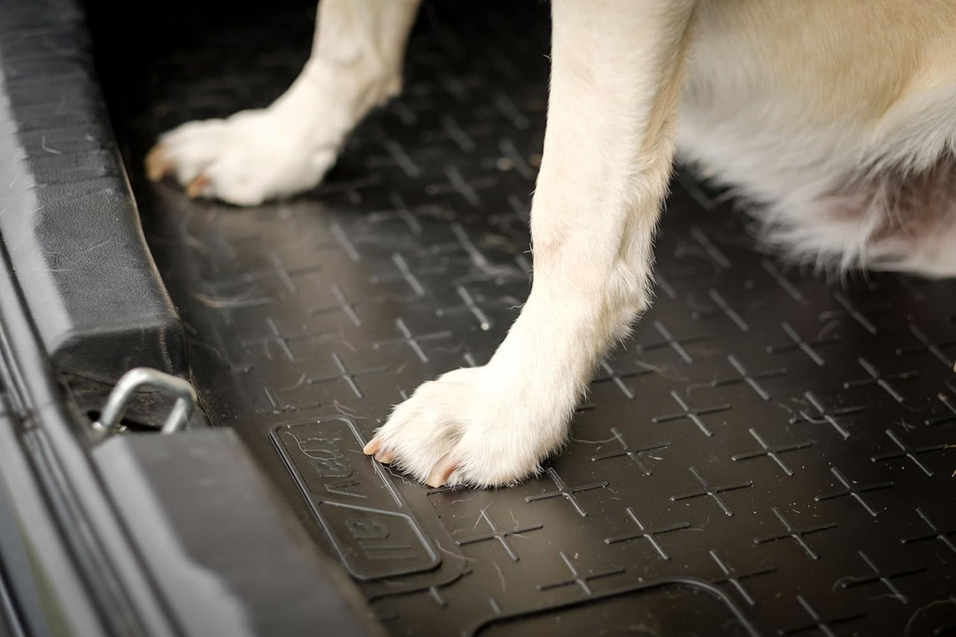 Travall CargoMat Liner Kofferraumwanne Kompatibel Mit Ford Mondeo Kombi (2000-2007) TBM1022 - Massge