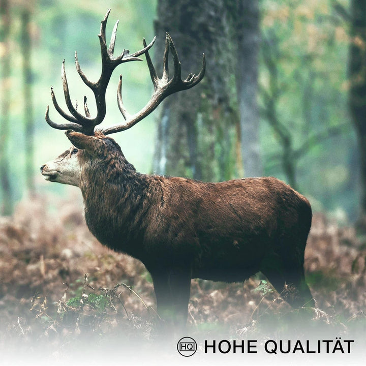 Novart Wandbilder Set - KOMPLETT AUFHÄNGFERTIG - Made in Germany - Moderne Bilder Wald Hirsch Wohnzi
