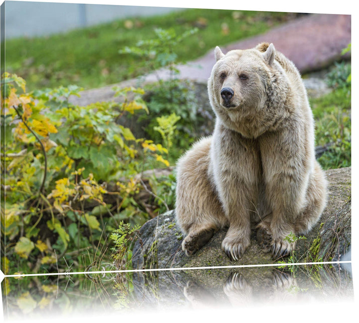 Pixxprint niedlicher Grizzly auf Stein auf Leinwand, XXL riesige Bilder fertig gerahmt mit Keilrahme