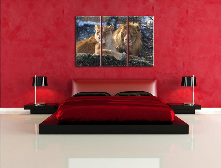 Pixxprint interessiertes Löwenpaar Kunst Buntstift Effekt 3-Teiler Leinwandbild 120x80 Bild auf Lein