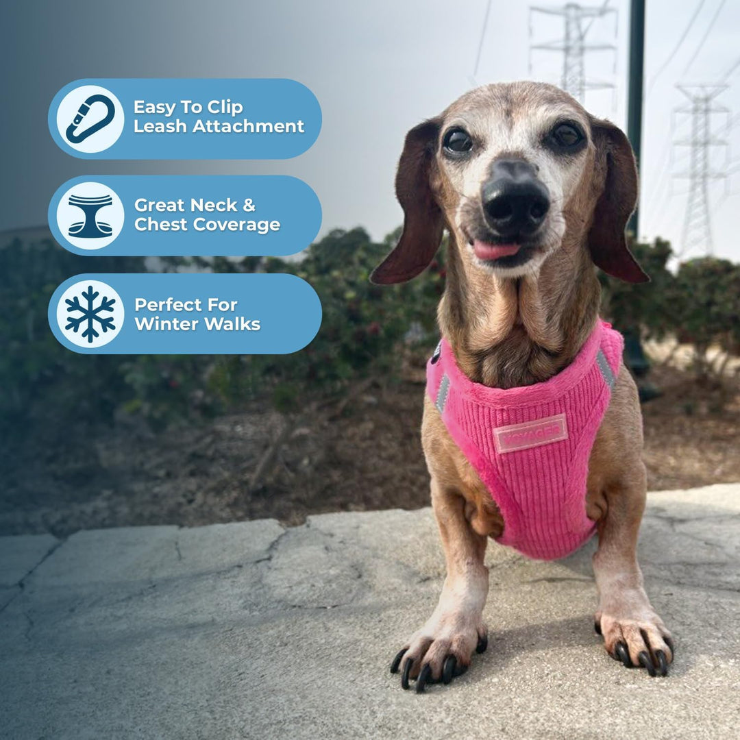 Voyager Step-in Plush Dog Harness - Soft Plush Step In Vest Harness for Small and Medium Dogs by Bes