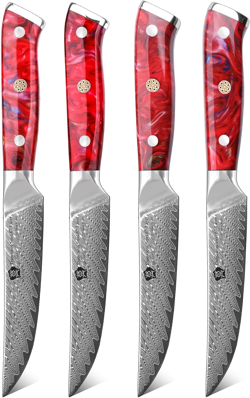 WILDMOK Steakmesser-Set mit 4 Damaststahl-Steakmessern 12,7cm, ultrascharf, gezahntes Steakmesser-Se