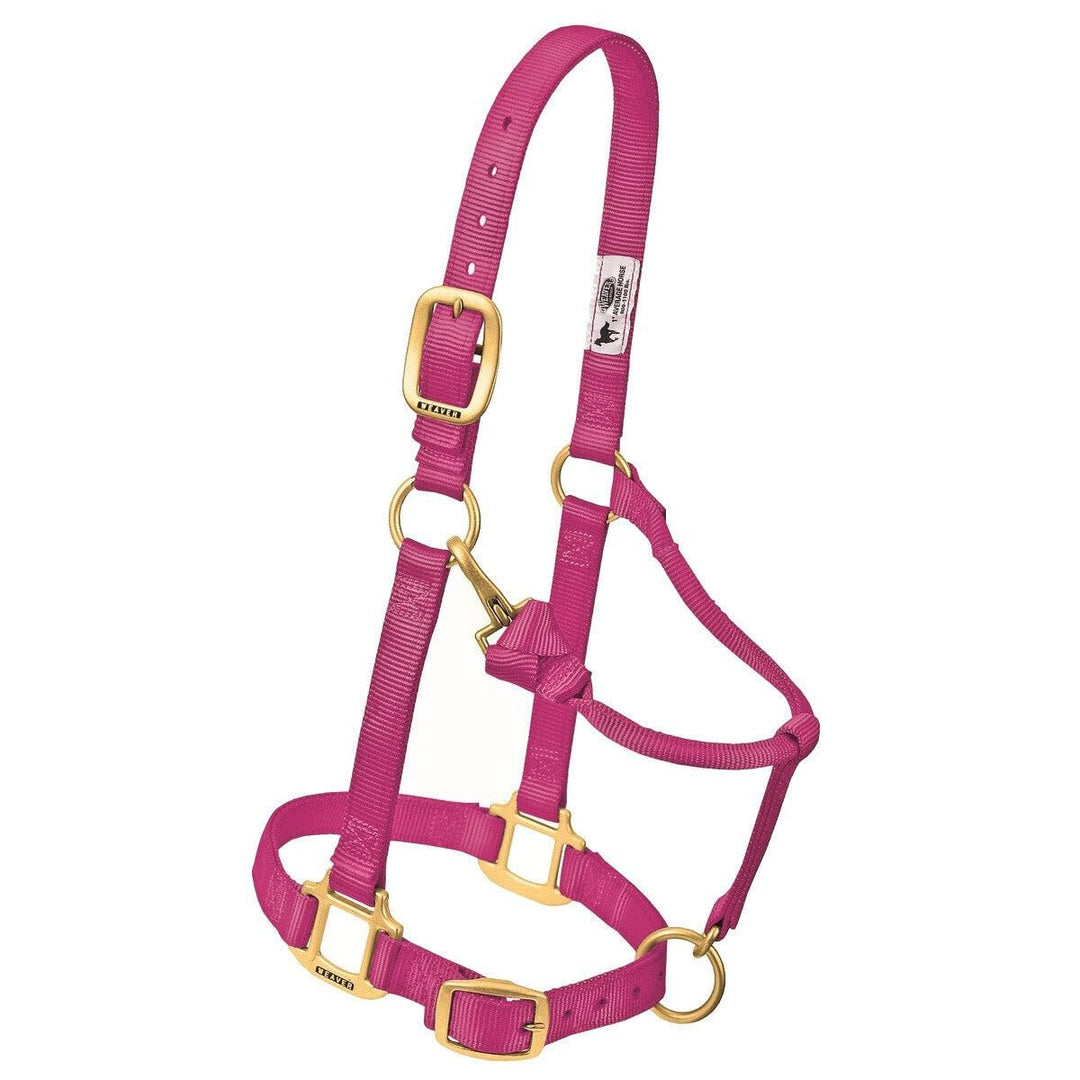 Weaver Leather Original verstellbares Nylonhalfter für Pferde Yearling himbeere, Yearling himbeere