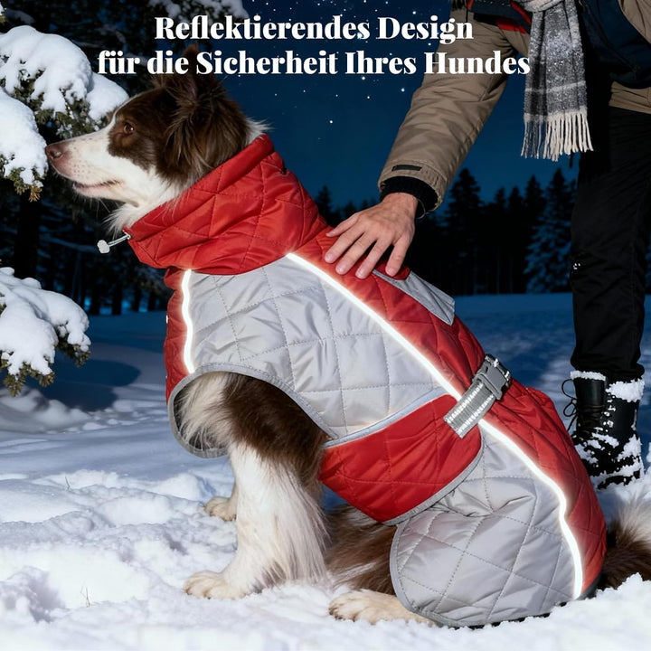 Hundemantel mit, Winddicht und wasserdicht, verdickter Kragen für Windschutz, verstellbare Schnalle,