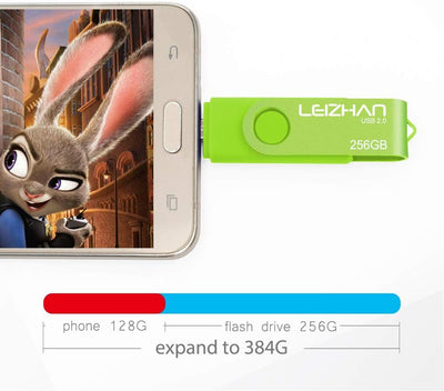 leizhan USB Speicherstick 2.0 OTG Metall Pendrive für Android Smartphone USB Flash Disk Micro USB Pe