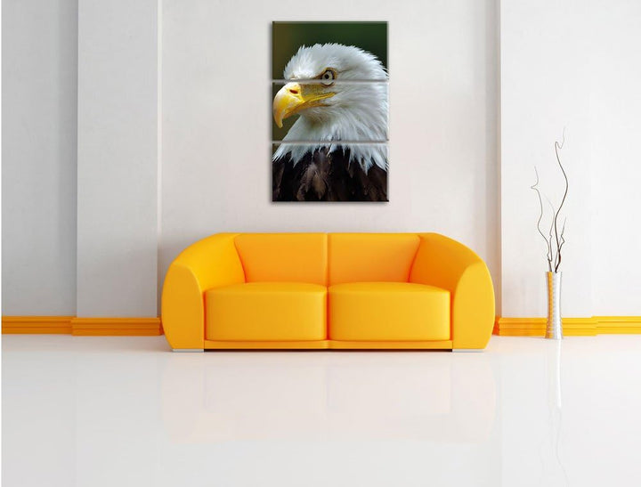 Pixxprint Niedliches Känguru als Leinwandbild/Grösse: 3 Teilig (120x80) / Wandbild/Kunstdruck/fertig