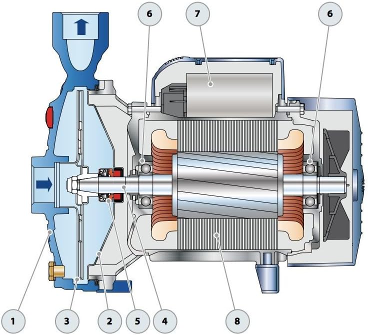 Pedrollo CPM158 Wasserpumpe 0,75 kW bis 4,8 m³/h, einphasig, 220 V