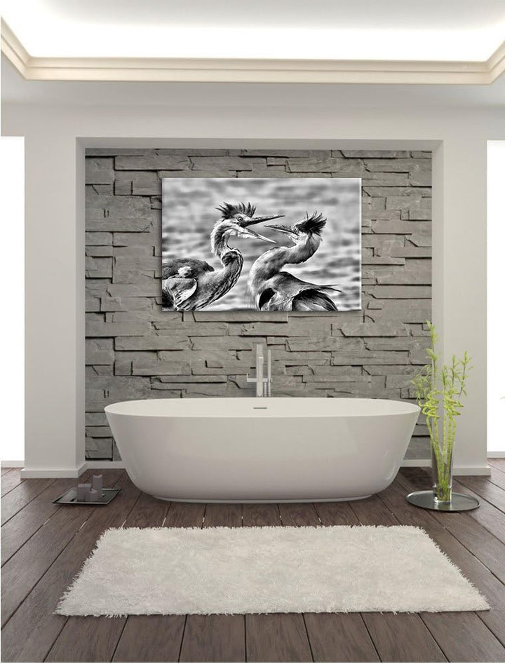 Monocrome, Zankende Vögel, Format: 100x70 auf Leinwand, XXL riesige Bilder fertig gerahmt mit Keilra