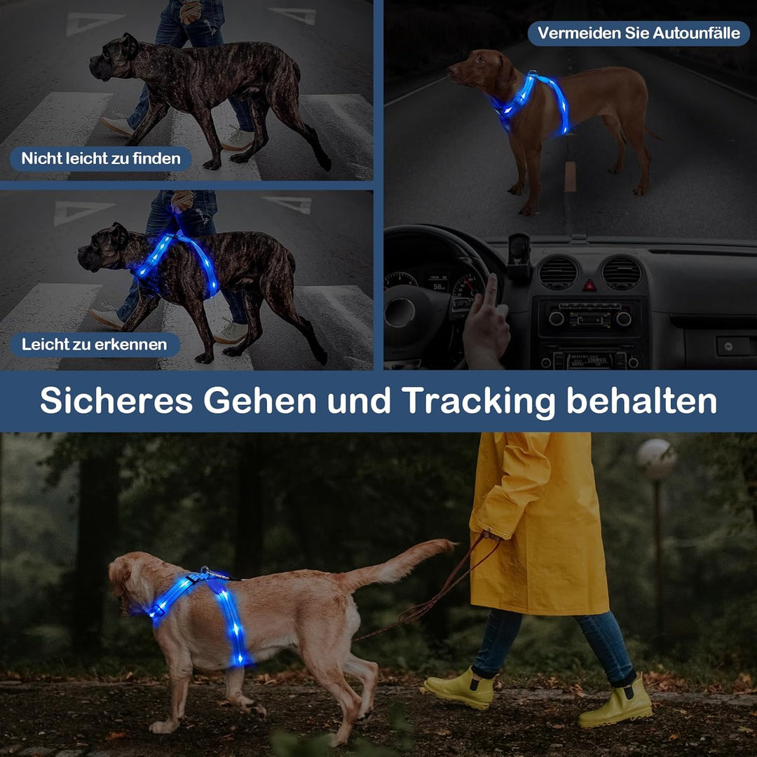 Beleuchtetes Hundegeschirr LED, Wiederaufladbar, Für Nachtspaziergänge Blau, M M Blau, M Blau