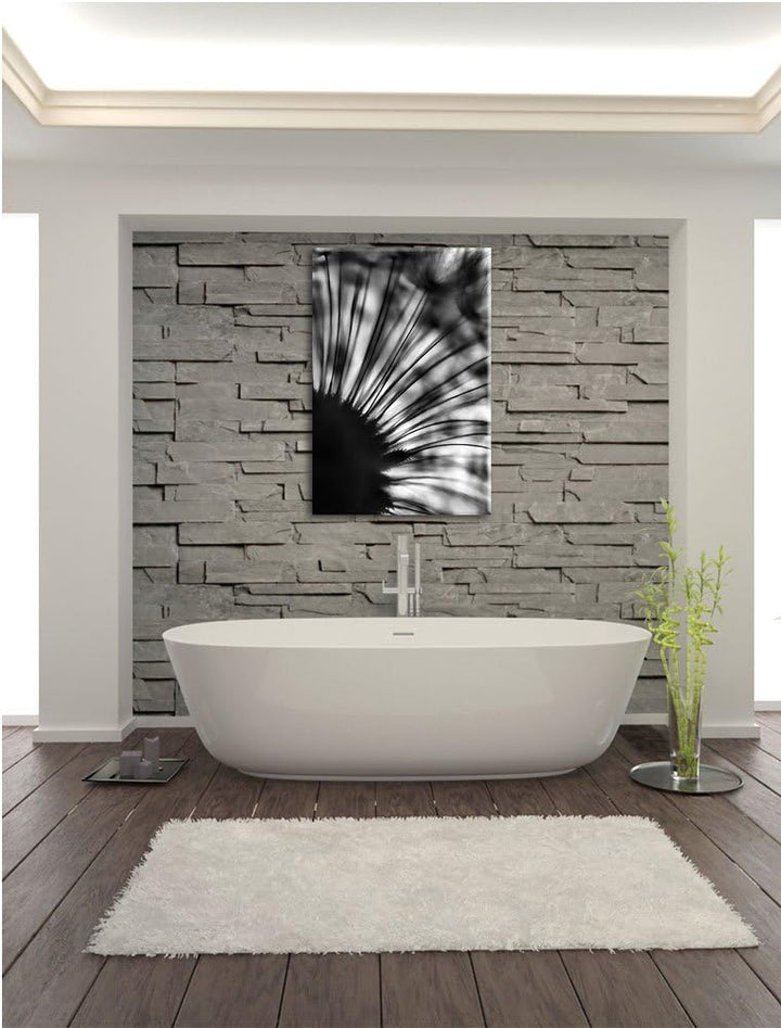 Pixxprint Monocrome, Pusteblume schwarz/weiss, Format: 100x70 auf Leinwand, 100x70