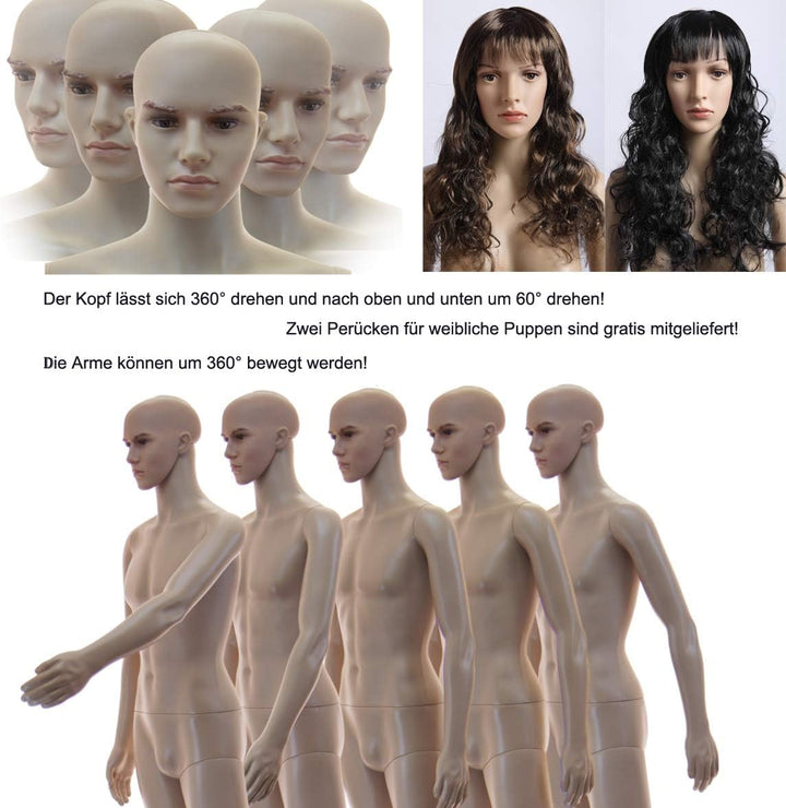 EurotonDisplay weibliche Schaufensterpuppe mit 2 Perücken gratis SF-10=2 beweglich Hautfarbe Female