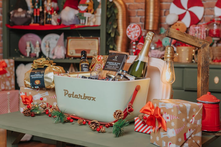 Kreher® Kühlbox Passive Kühlbox Kühltaschen Polar in Retro Vintage Design aus Kunststoff mit polysty