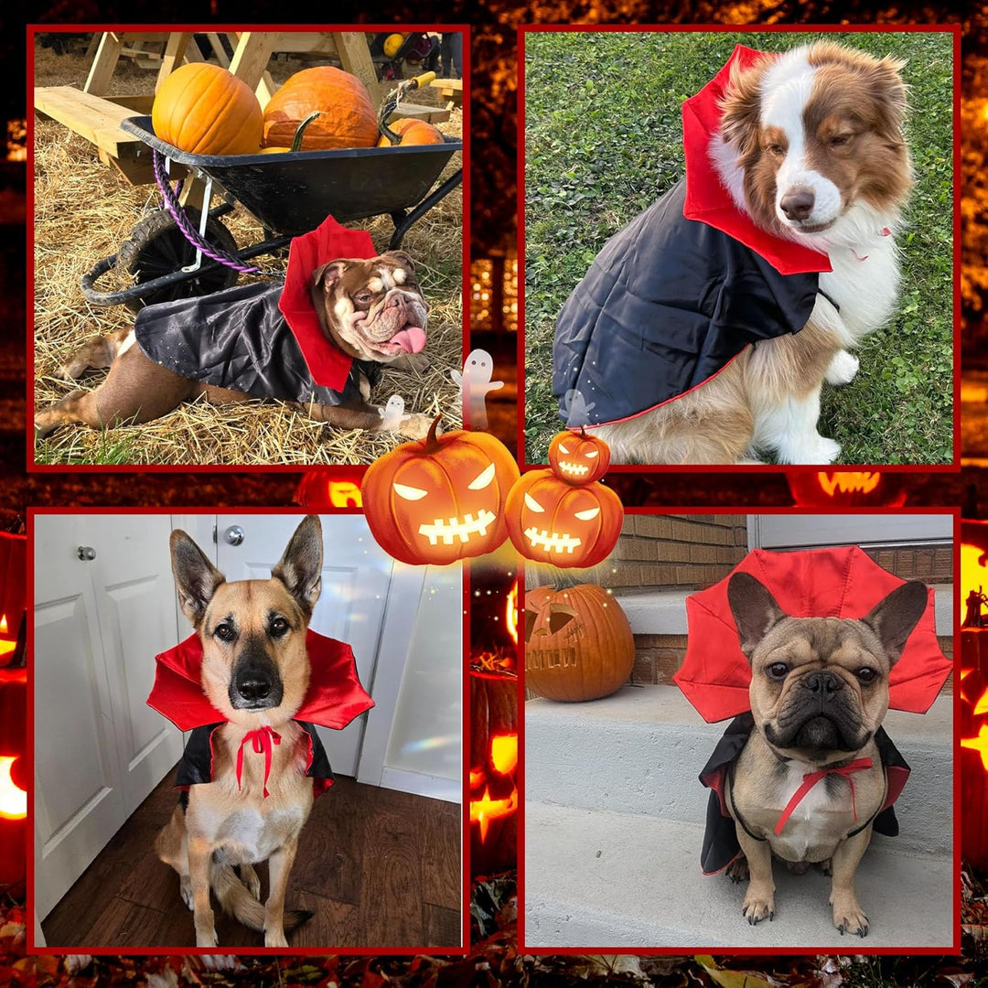 GOYOSWA Hund Halloween Kostüme, Hund Vampir Umhang Kostüm Hund Teufel Kostüm Hund Vampir Umhang Umha