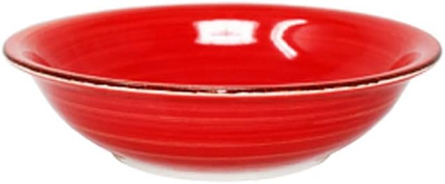 DRULINE Teller-Set bunt Edles Porzellan-Geschirr Suppenteller 750 ml 6 Farben mediterran backofentau