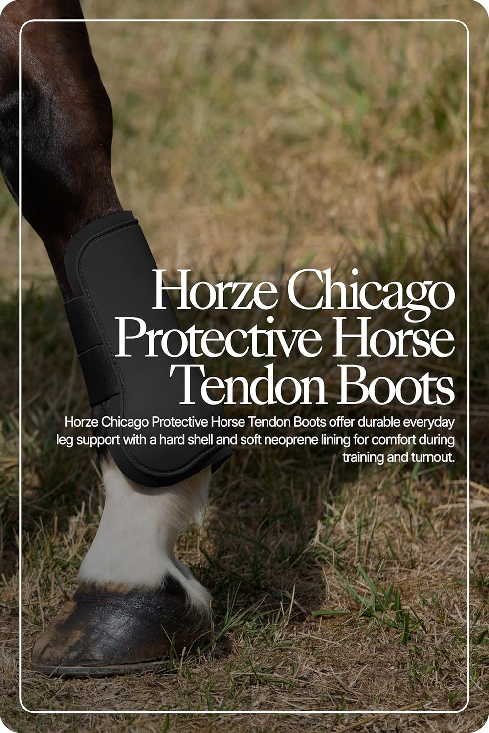 HORZE Pferde Gamaschen Chicago, Hartschalen-Gamaschen für Pferde, abwaschbar