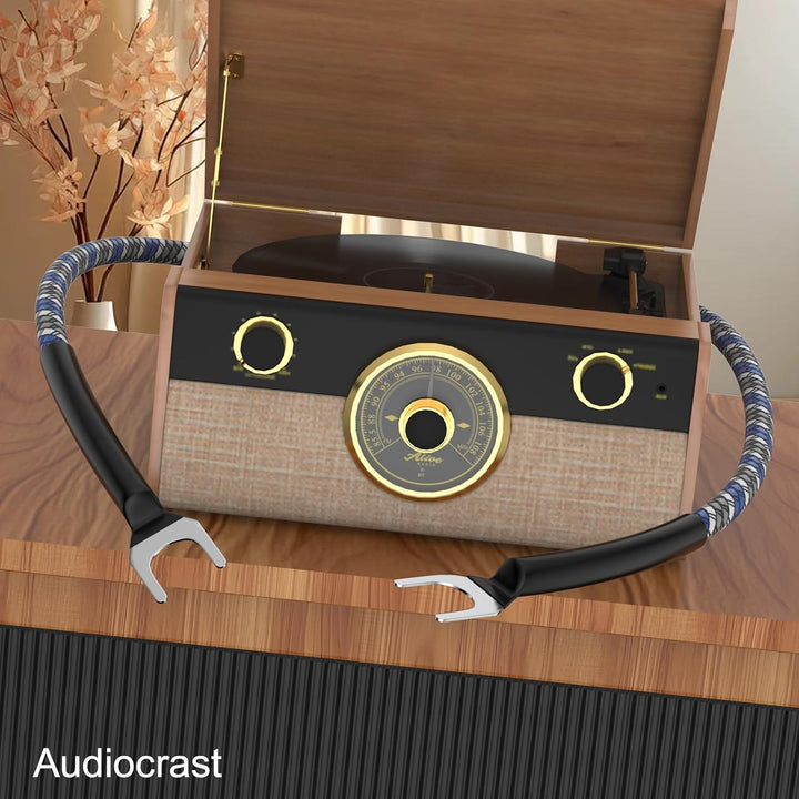 Erdungsleitung für Plattenspieler Phonogeräte mit Masseanschluss,Phonographen Plattenspieler Erdungs