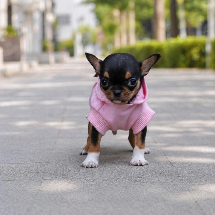 LOPHIPETS Hunde-Kapuzenpullover aus Baumwolle, für kleine Hunde, Chihuahua, Welpen, für kaltes Wette