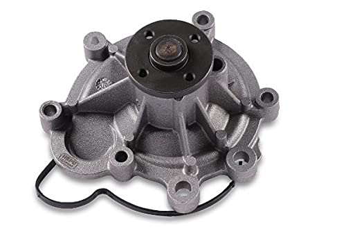 Hepu P1511 Wasserpumpe