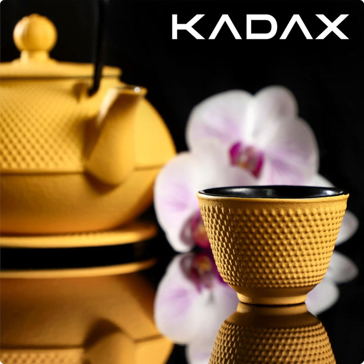 KADAX Japanische Teekanne, 850ml Gusseiserner Kessel, ⌀15cm Kanne mit Netzfilter und robustem Griff,