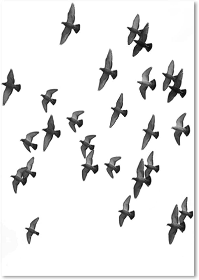 Feeby, Wandbild - 1 Teilig - 60x80 cm, Leinwand Bild Leinwandbilder Bilder Wandbilder Kunstdruck, VÖ