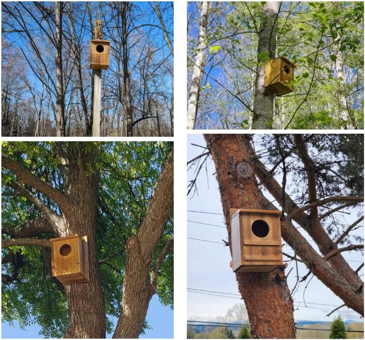 Eulenhaus Grosser Eulen-Nistkasten aus Holz für Schleiereule Waldkauz Streifenkauz Waldohreule Bartk