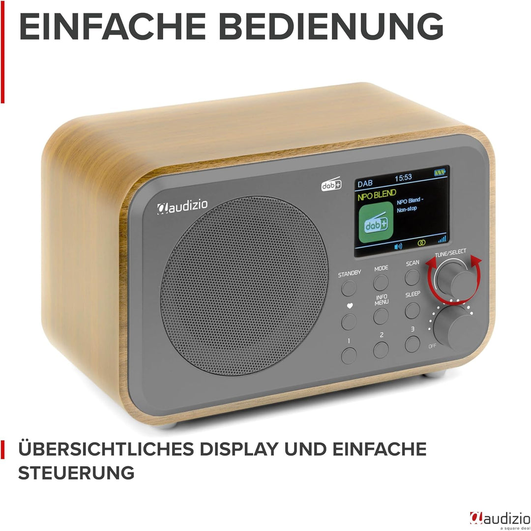 Audizio Milan DAB Radio mit Bluetooth, 10 Stunden Akku Radio 2000 mAh, Radiowecker mit Sleeptimer, L
