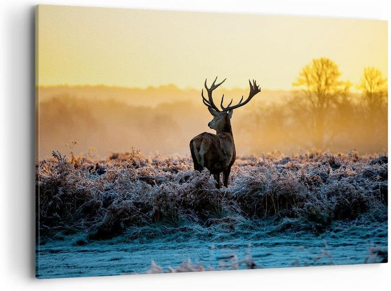 ARTTOR Bilder auf Leinwand 100x70cm Leinwandbild Feld Nebel Natur Baum Gross Wanddeko Bild Schlafzim