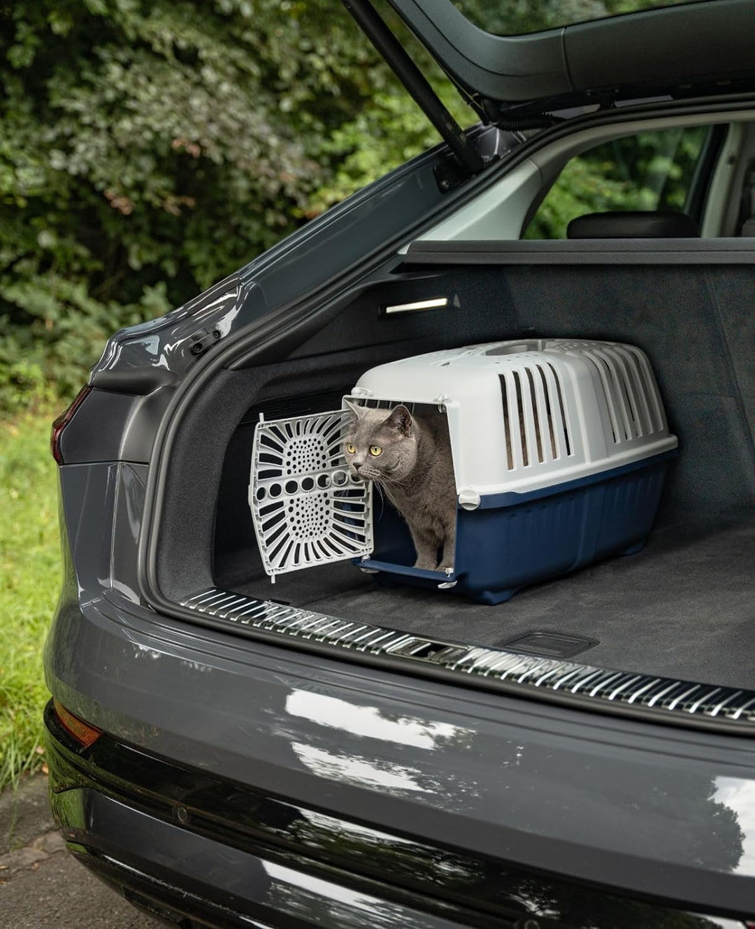 lionto Transportbox für Hunde & Katzen aus recyceltem Kunststoff Tiertransportbox Kleintierbox, 55x3