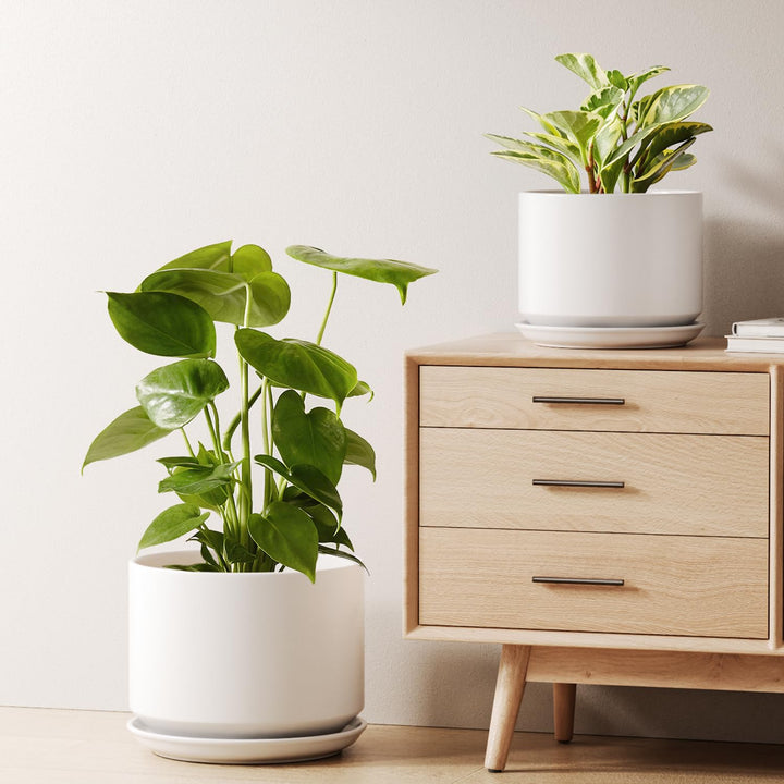 LE TAUCI 2er Pack Keramik Blumentopf Gross, 20+25 cm Durchmesser gross Töpfe Set, übertöpfe für Zimm