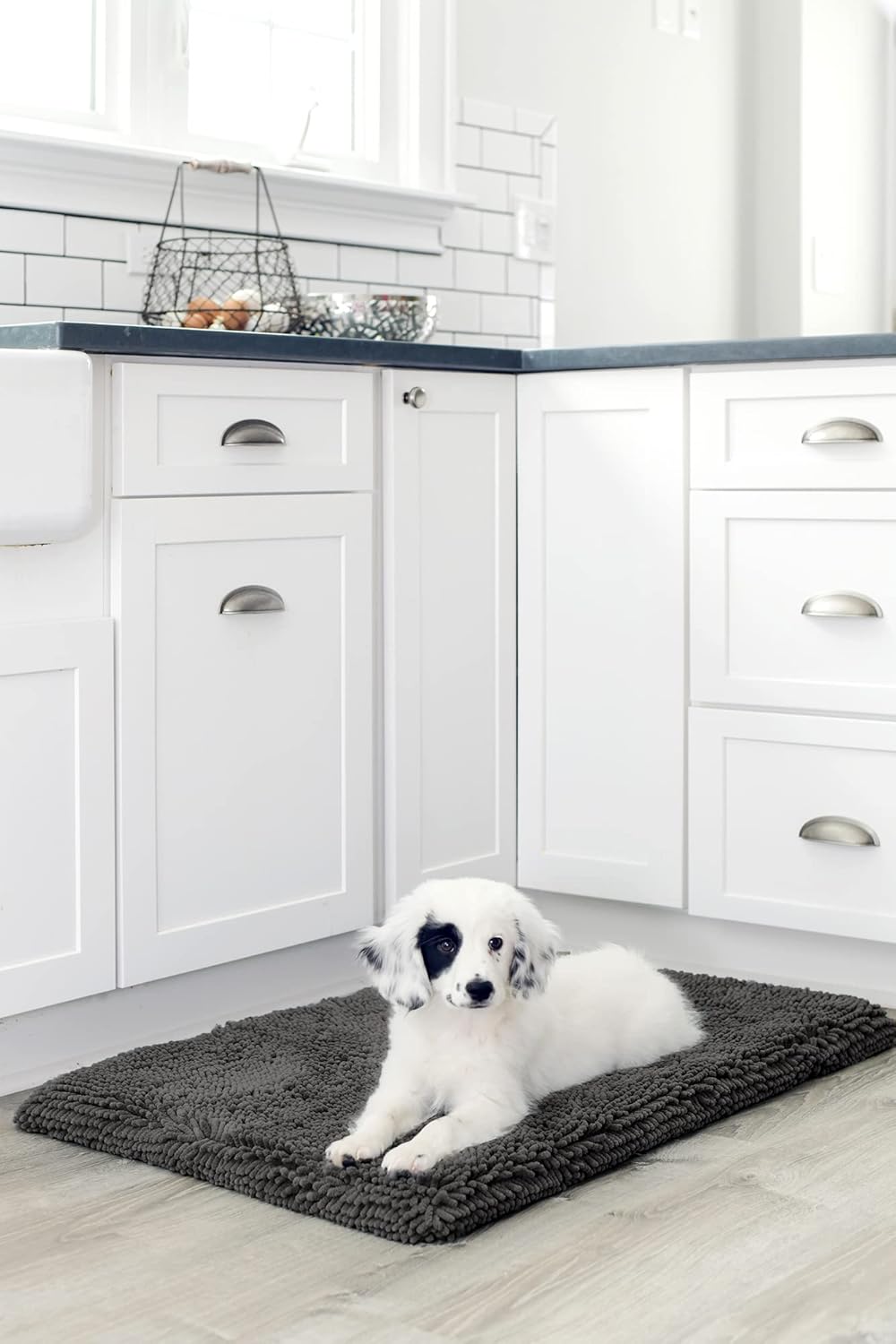 DGS Dirty Dog Cushion L: 62 cm B: 44 cm grau Grau 62 X 44 CM, Grau 62 X 44 CM