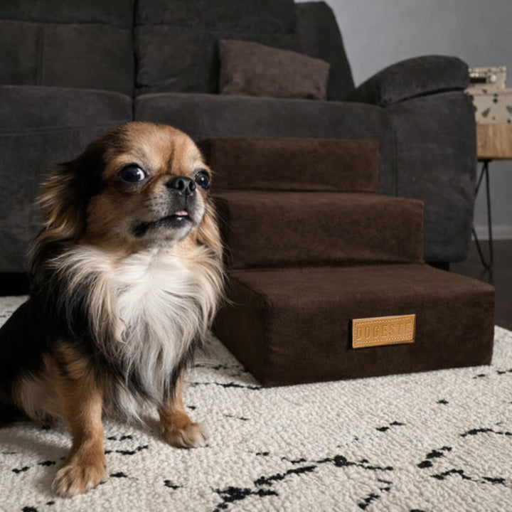 Sofatreppe für Hunde und Katzen – Hundetreppe für Bett &amp; Sofa – 3- oder 4-stufig, rutschfest &amp; wasch
