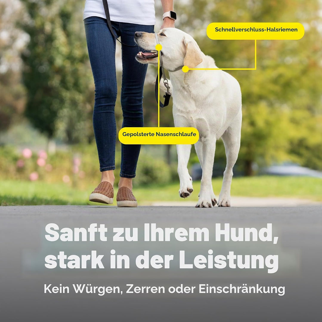PetSafe Sanfter Führer Halsband mit Trainings-DVD schwarz Medium, schwarz Medium